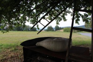 IMG_4439