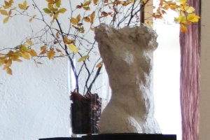 Torso